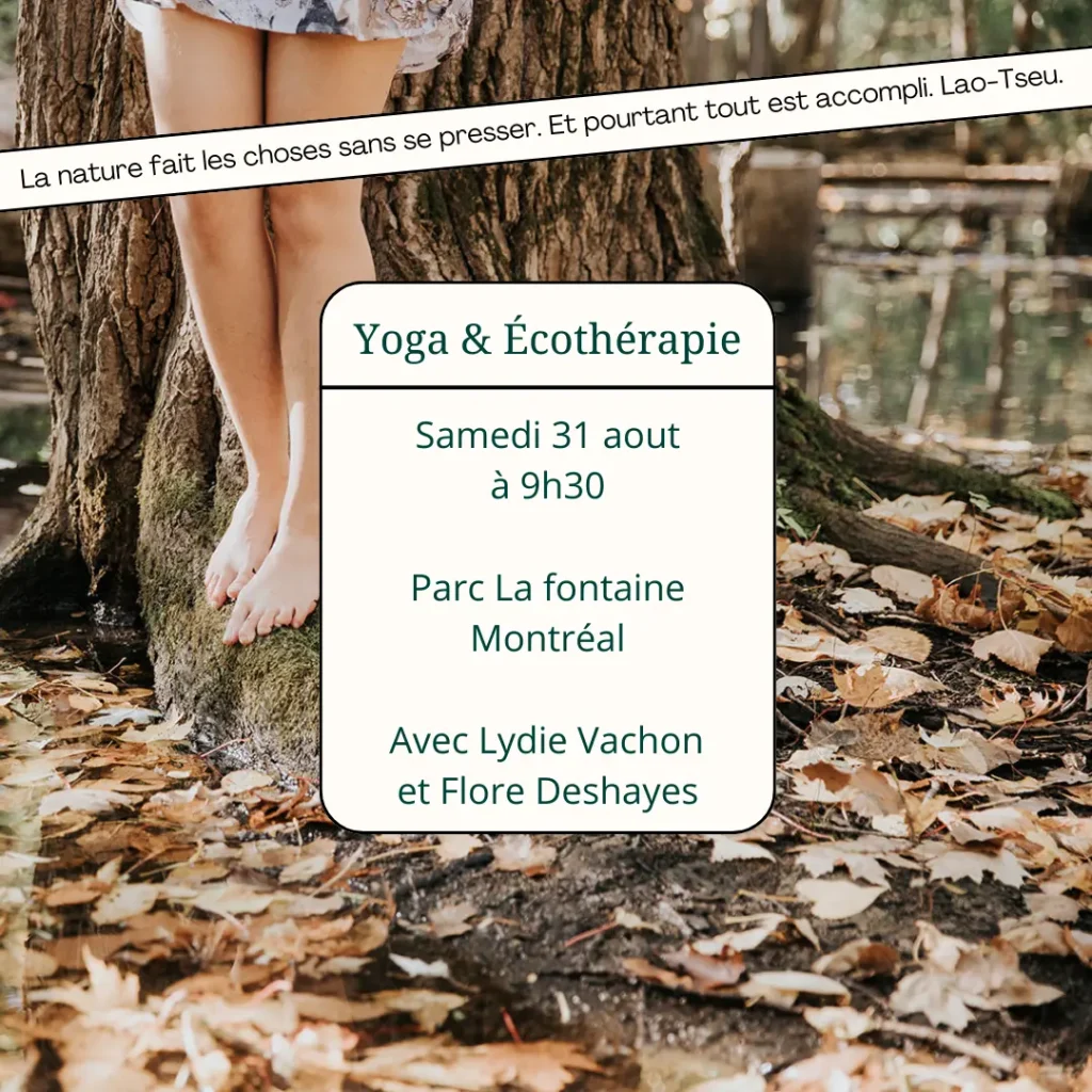 Yoga - méditation - mouvement -corps -écothérapie