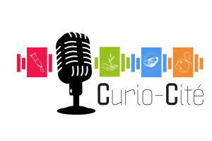 chronique mentalement Vôtre - émission Curio-cité